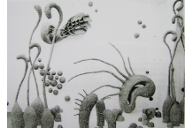 Sculpture Installations Sculpture Installations